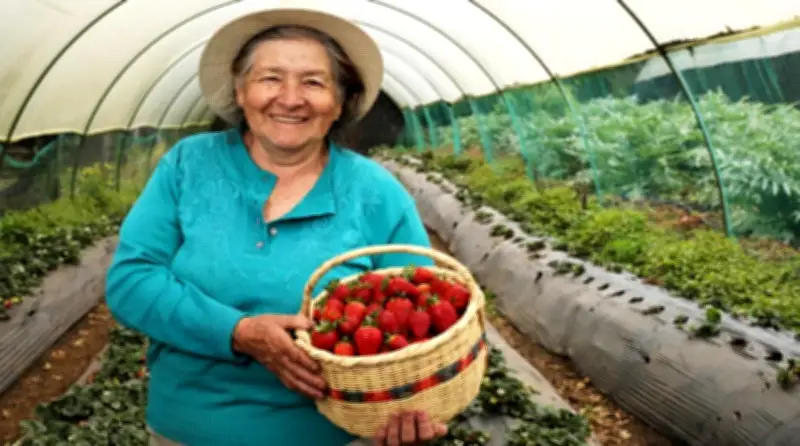 Feria de emprendimientos campesinos en Bucaramanga: aliados de la conservación