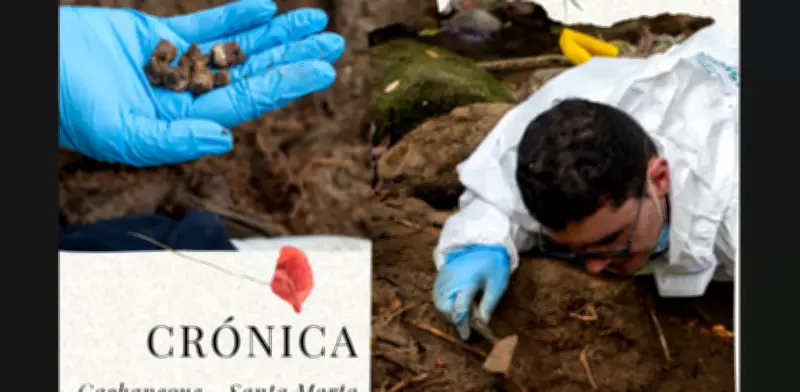 Fosa oculta en la Sierra Nevada guarda cuerpos de guerra paramilitar