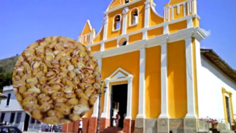 Fríjol liborino: el orgullo agrícola de Antioquia que conquista paladares