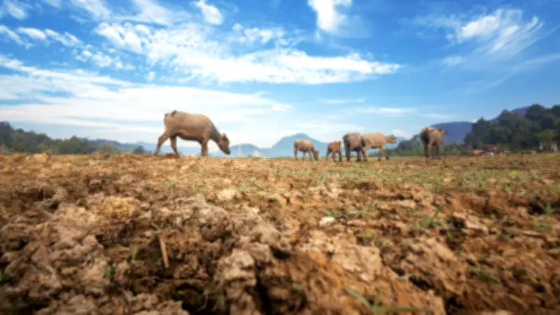 Ganadería regenerativa: el suelo fértil como solución climática