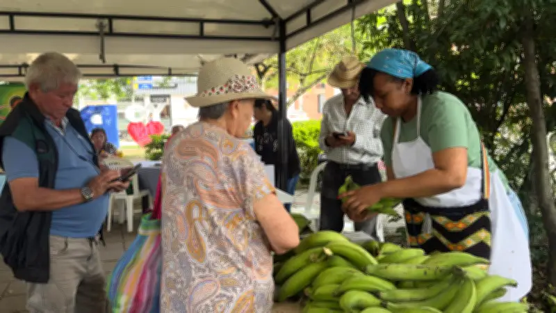 Gobierno anuncia medidas por $110.000 millones para mitigar impacto de El Niño en el agro