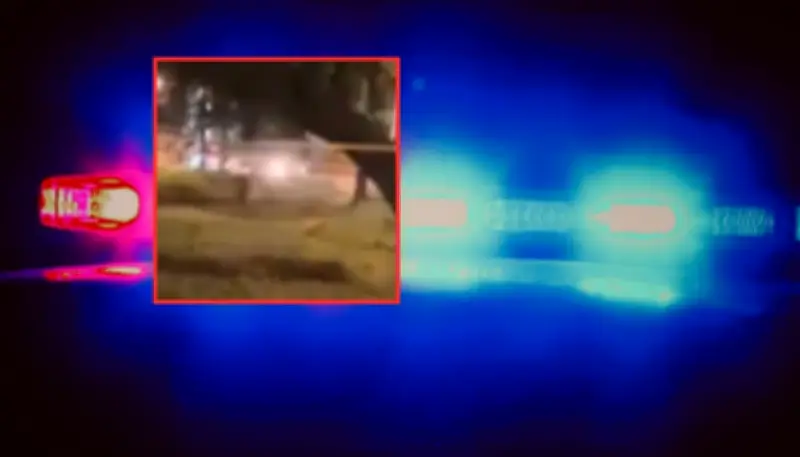 Hallan cuerpo sin vida de hombre en parque de Suba, Bogotá; investigan