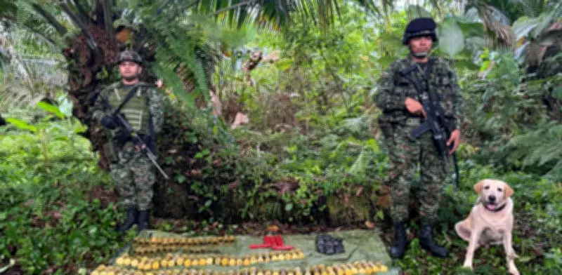 Hallan en Nariño el mayor depósito de minas antipersona con más de 250 artefactos