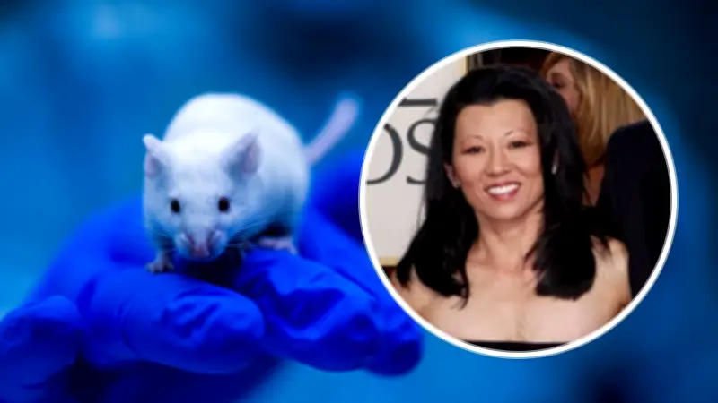 Hantavirus: brote en crucero y muerte de esposa de Gene Hackman reavivan alerta