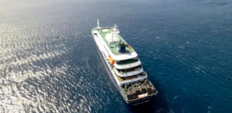 Hantavirus: síntomas, transmisión y letalidad del virus que causó tres muertes en crucero