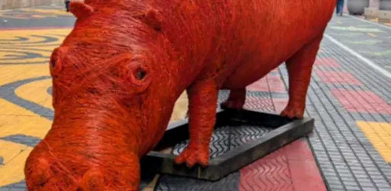 Hipopótamo gigante 'Resiliencia' se instalará en el centro de Bogotá como obra de arte público