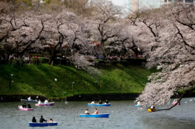 ICETEX y Japón abren becas para colombianos en pregrado y posgrado