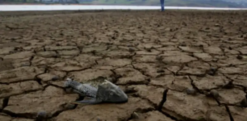 Ideam alerta: sequía severa entre junio y agosto en Colombia