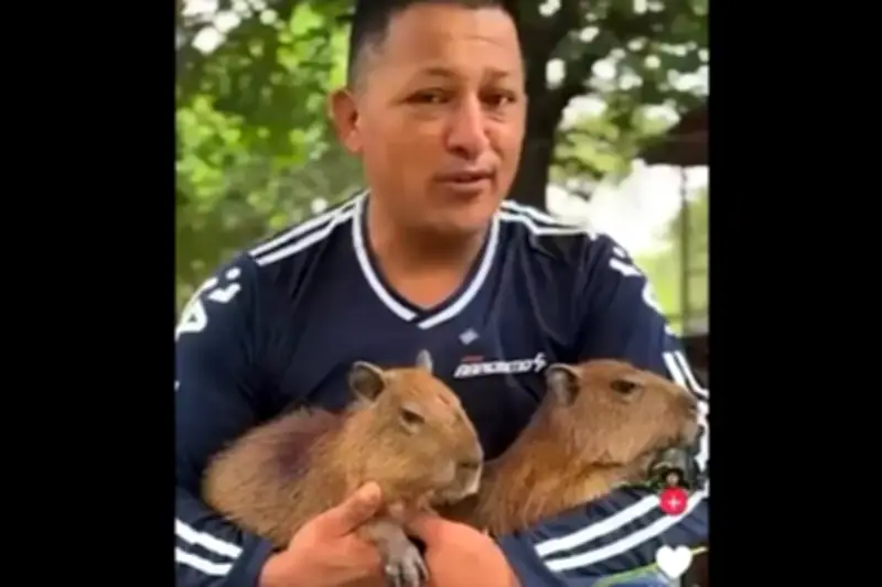 Influencer a prisión por usar animales silvestres en precarias condiciones