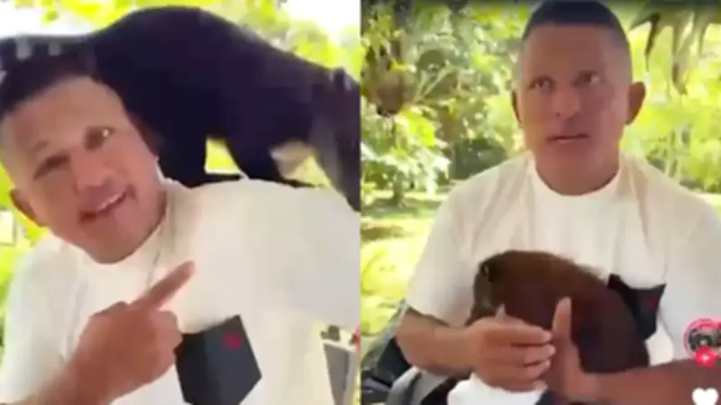 Influencer Jesse Adonai Daza enviado a prisión por tenencia ilegal de fauna silvestre