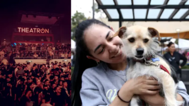 Jornada de adopción de mascotas en Bogotá este sábado en Theatron