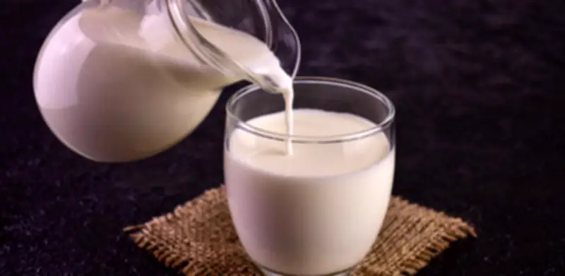 Leche entera: beneficios, riesgos y valor nutricional explicados