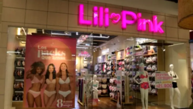 Lili Pink se desvincula de detenido por contrabando y lavado de activos