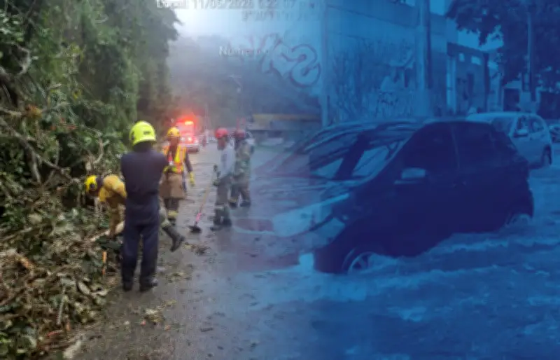 Lluvias en Cali: autoridades reportan emergencias en norte y oeste