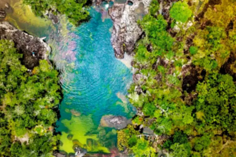Meta será sede de Colombia Nature Travel Mart 2026 con rueda de negocios internacional