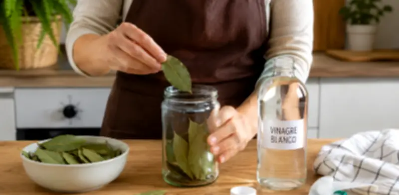 Mezcla de laurel y vinagre: usos caseros para limpieza y desodorización
