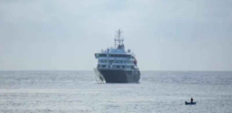Misterio sobre origen de hantavirus en crucero: Ushuaia descarta ser foco
