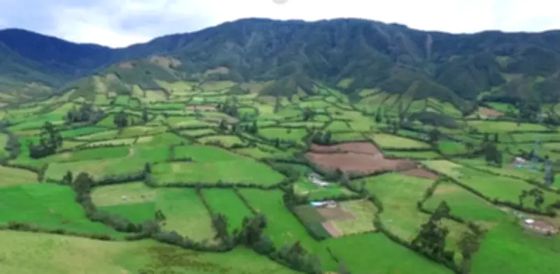 Más de 900.000 hectáreas protegidas en Colombia para producción de alimentos