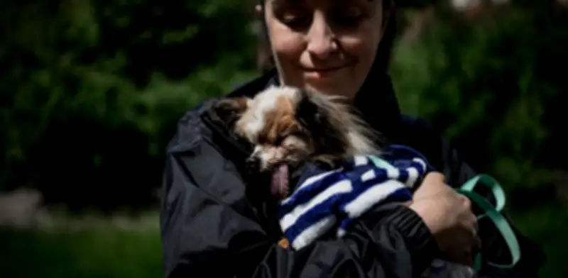 Murió Lazare, el perro más viejo del mundo, a los 30 años en Francia