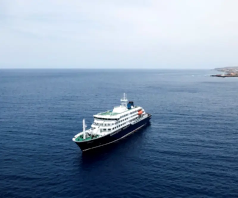 OMS informó sobre brote de hantavirus en cruceros en rueda de prensa
