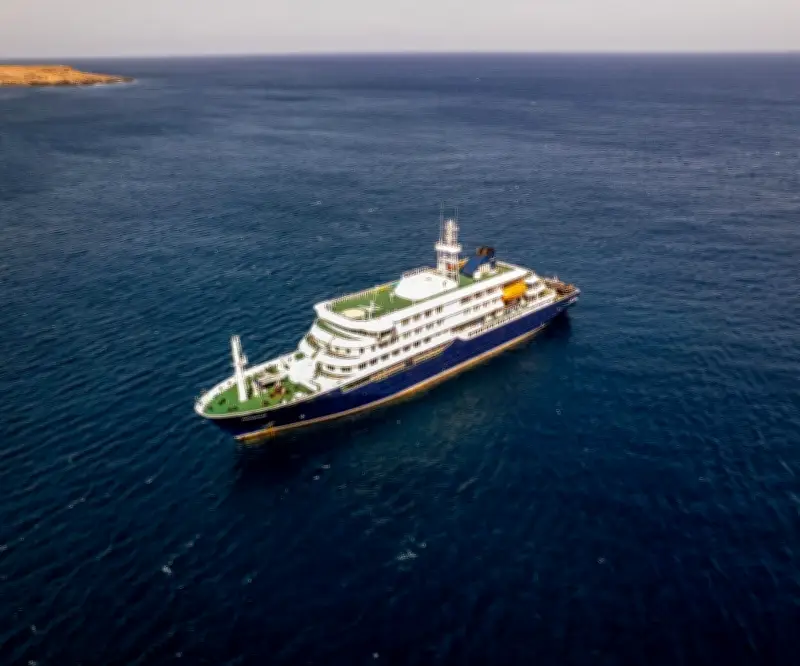 OMS y España apoyan investigación por brote de hantavirus en crucero