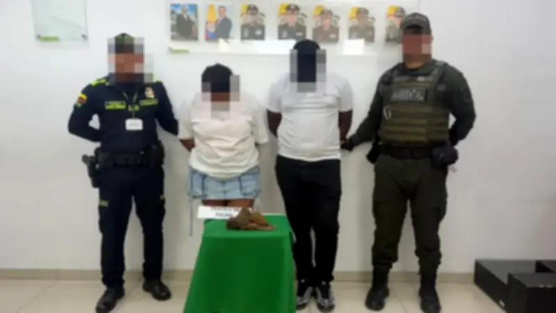 Pareja capturada en Cartagena por tráfico de monos en partes íntimas