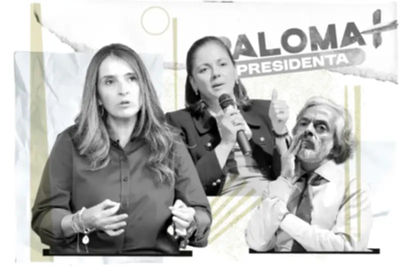 Perfil del gerente de campaña de Paloma Valencia y Juan Daniel Oviedo