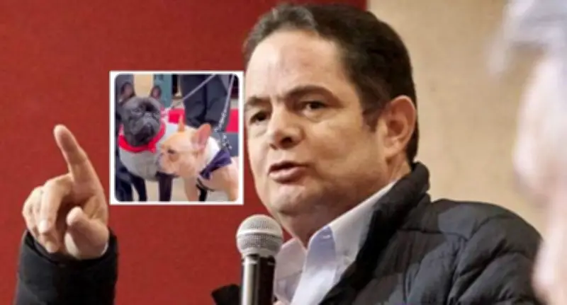 Perros de Germán Vargas Lleras asisten a su funeral: la conmovedora despedida