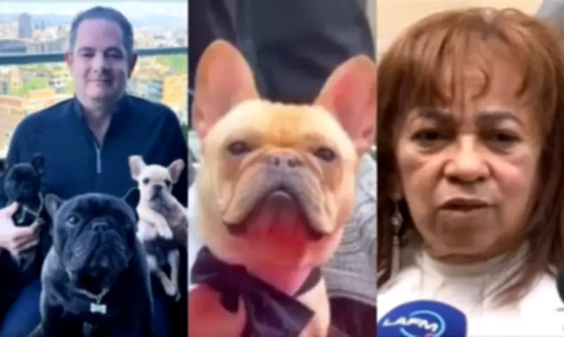 Perros de Germán Vargas Lleras habrían presentido su muerte, según asistente