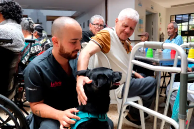 Perros de terapia transforman la rutina en hogar geriátrico y hospital infantil de Medellín