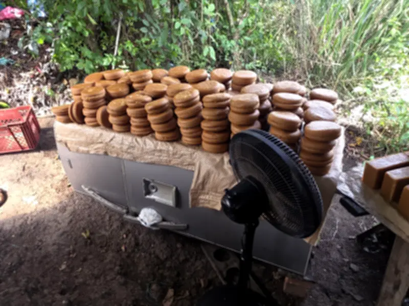Policía desmantela red de producción ilegal de panela en Nariño: 37 capturados