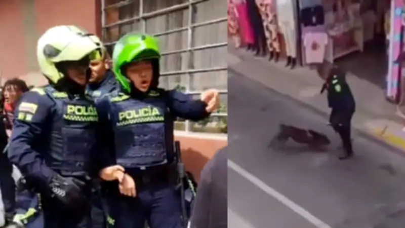 Policía dispara a perro durante operativo en Rionegro, Antioquia