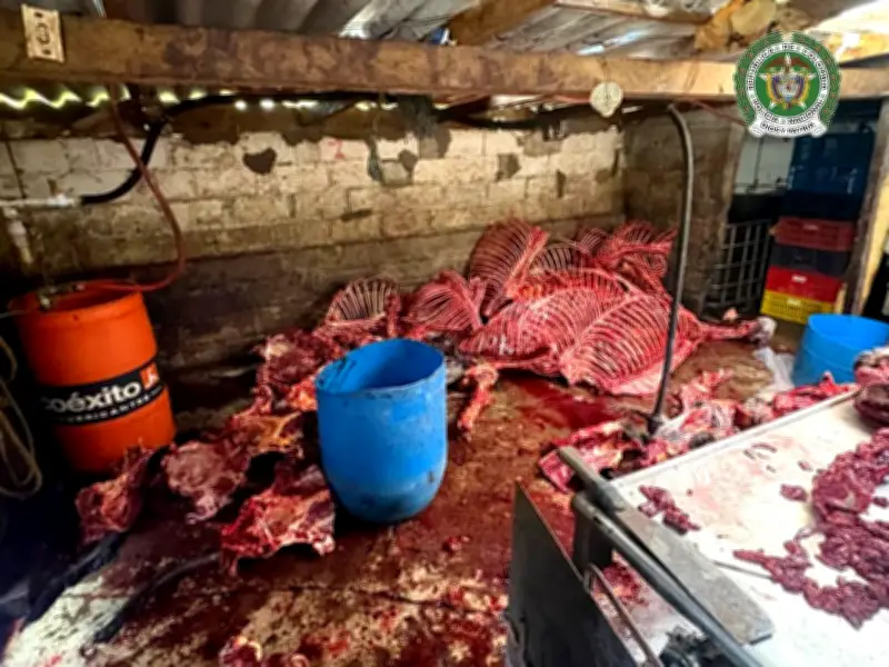 Policía incauta más de 9 toneladas de carne en Donmatías, Antioquia