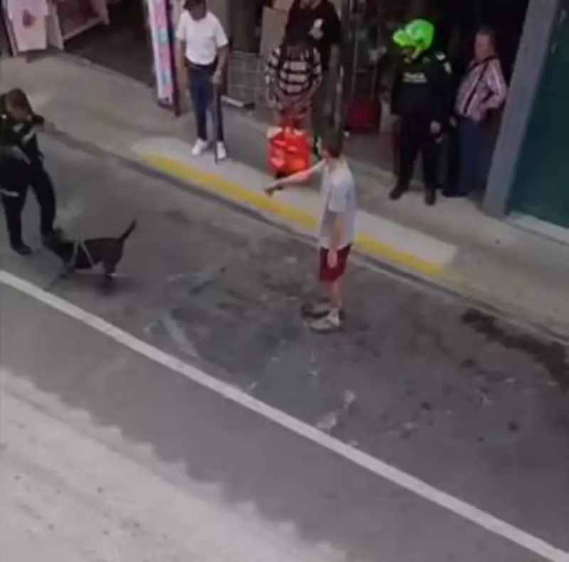 Polémica en Rionegro: perro muere por disparo policial en captura