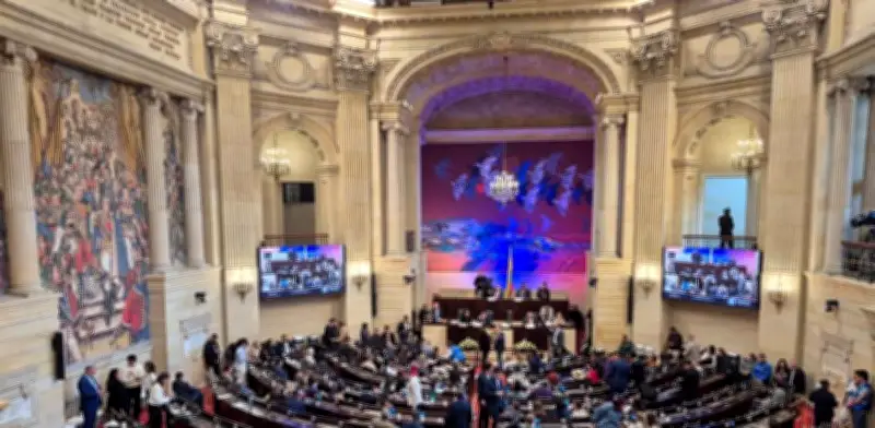 Proyectos clave en el Congreso: Jurisdicción Agraria y ablación genital femenina