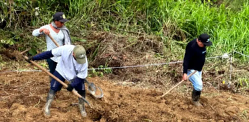Recuperan cuerpos de 10 desaparecidos hace una década en Nariño, en zona de influencia de las Farc
