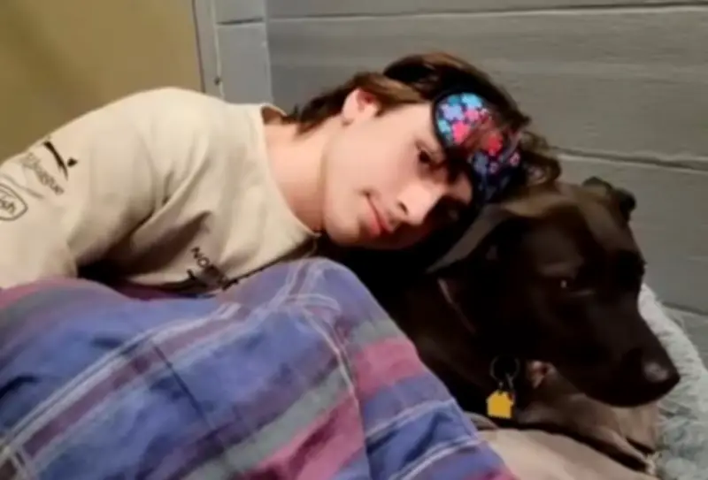 Refugio en EE.UU. realiza pijamada con perros para darles compañía