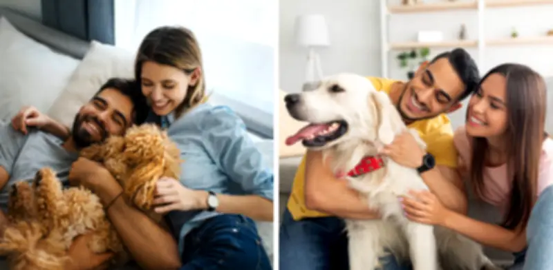 Registro obligatorio de mascotas en Colombia: multas de hasta $523.000