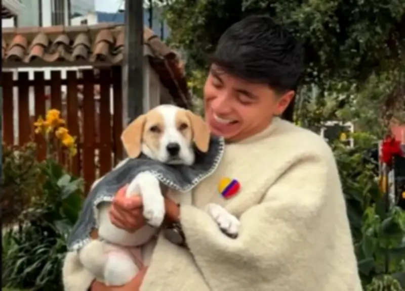 Rescatan a perrita abandonada en zona rural y le consiguen nueva familia
