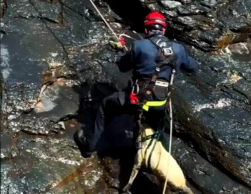 Rescatan a perrita atrapada en risco en Macanal, Boyacá