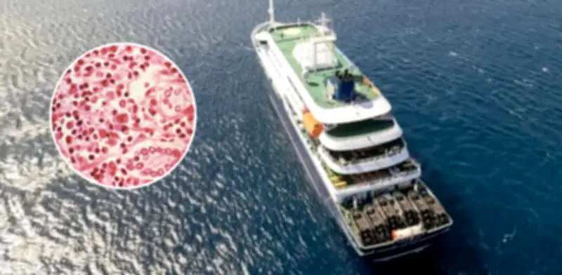 Revelan itinerario de primeras víctimas de hantavirus en crucero MV Hondius
