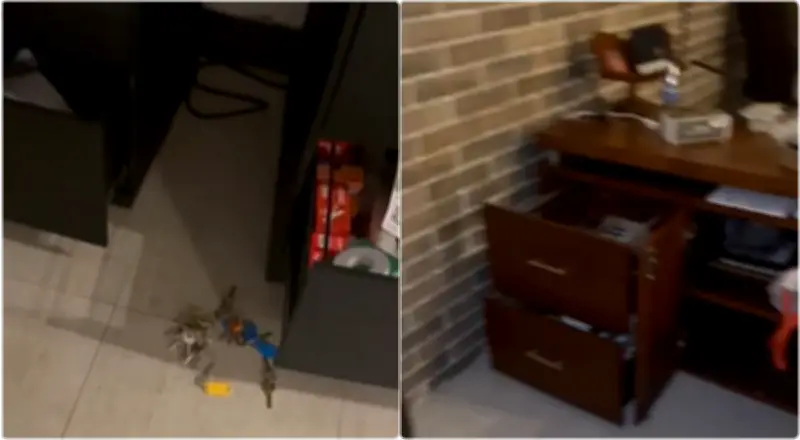 Robo en sede de Águilas Doradas: delincuentes saquean equipos en Llanogrande