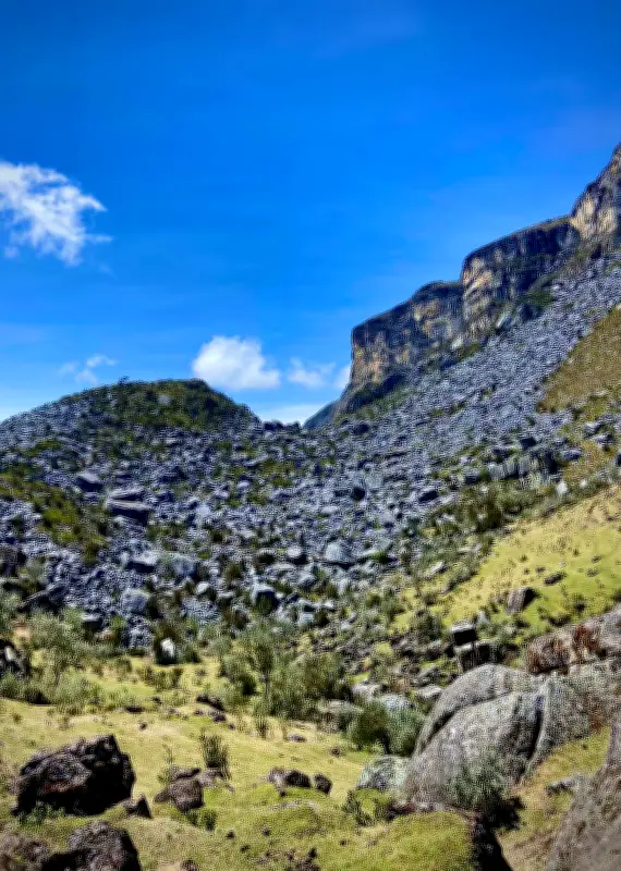 Santander: 151 mil hectáreas del Páramo de Almorzadero son zona de reserva temporal