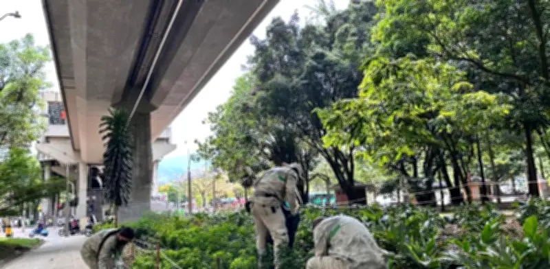 Sistema de riego por gravedad bajo el Metro de Medellín mantiene 10.000 plantas