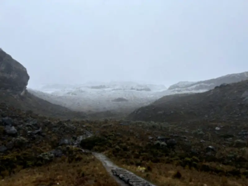 Suspenden ingreso ecoturístico al Parque Los Nevados por cuatro días