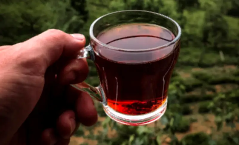 Té se consolida como bebida de moda en Colombia con crecimiento del 5,3% anual