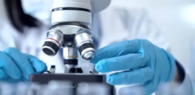 Terapia experimental elimina el cáncer de riñón más agresivo en un paciente