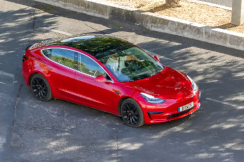 Tesla retira 218.800 autos en EE.UU. por falla en cámara trasera