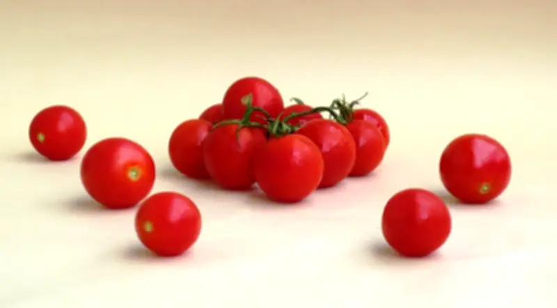 Tomate cherry: origen, beneficios y cómo cultivarlo en casa