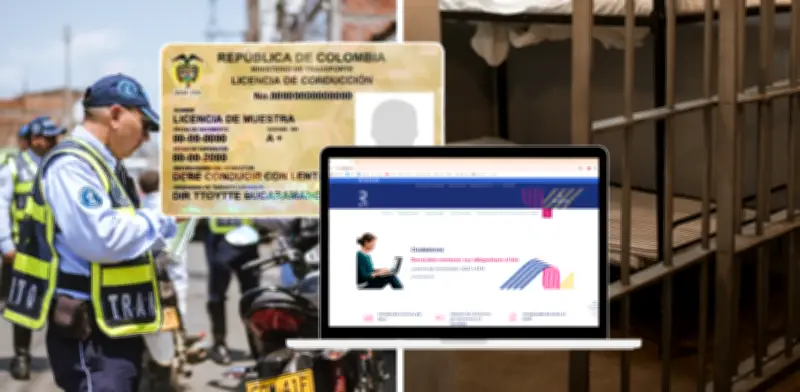 Tres pasos para verificar autenticidad de su licencia en el RUNT